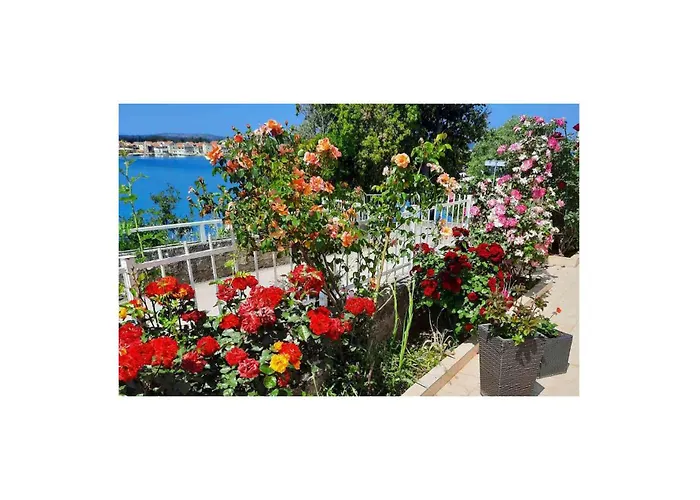 Apartment Obala Spanja Roka Cr Brodarica (Sibenik-Knin)